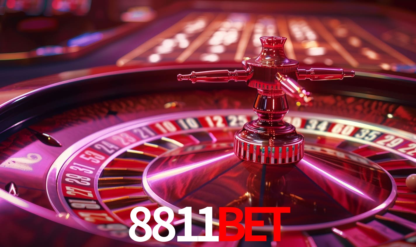 Login Seguro 8811bet