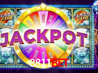 Interface Premium 8811bet
